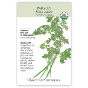 Parsley – Moss Curled Seeds – Organic