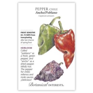 Pepper Chile – Ancho/Poblano Seeds