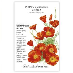 Poppy California – Mikado Seeds