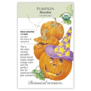 Pumpkin – Howden Seeds – Organic