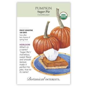 Pumpkin – Sugar Pie Seeds – Organic