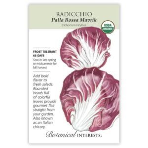 Radicchio – Palla Rossa Mavrik Seeds – Organic