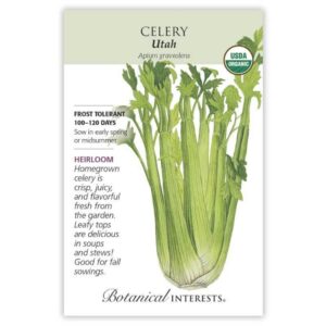 Botanical Interests - Celery - Utah Seeds - Organic