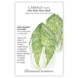 Botanical Interests - Cabbage - One Kilo Slow Bolt Napa Seeds