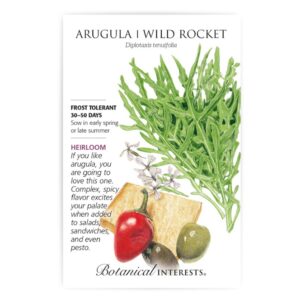 Botanical Interests - Arugula - Wild Rocket Seeds