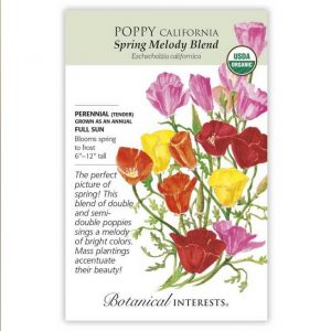 Botanical Interests - Poppy California - Spring Melody Blend Seeds - Organic