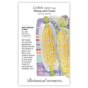 Botanical Interests - Corn Sweet - Honey And Cream Seeds - Large