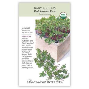 Botanical Interests - Kale - Red Russian Baby Greens Seeds - Organic