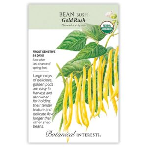 Botanical Interests - Bean Bush - Gold Rush Seeds