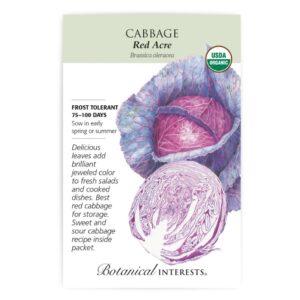 Botanical Interests - Cabbage - Red Acre Seeds - Organic