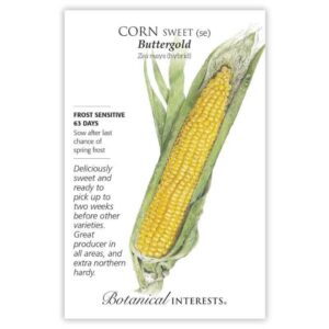 Botanical Interests - Corn Sweet - Buttergold Seeds - Large