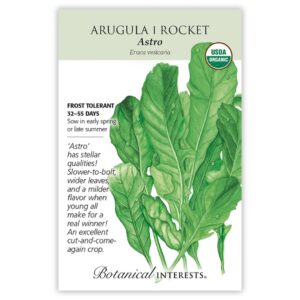 Botanical Interests - Arugula - Astro/Rocket Seeds - Organic