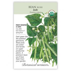 Botanical Interests - Bean Bush - Jade Seeds - Organic