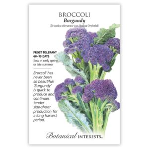 Botanical Interests - Broccoli - Burgundy Seeds