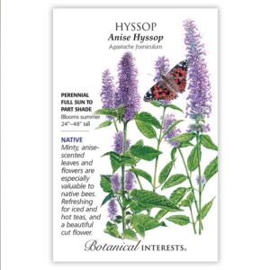 Botanical Interests - Hyssop - Anise Hyssop Seeds - Organic
