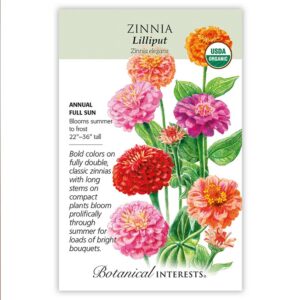 ZINNIA – LILLIPUT SEEDS – ORGANIC