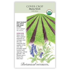 COVER CROP – HAIRY VETCH SEEDS – ORGANIC