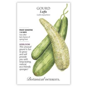 Gourd – Luffa Seeds