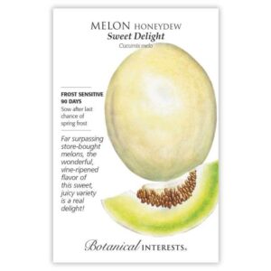 Melon Honeydew – Sweet Delight Seeds