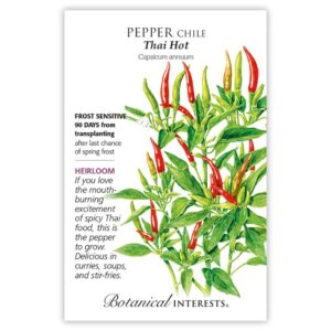 Pepper Chile – Thai Hot Seeds