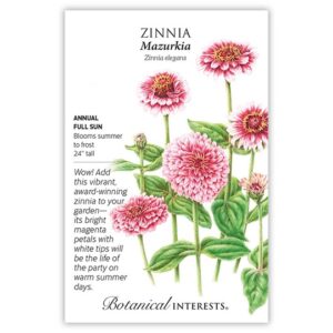 Zinnia – Mazurkia Seeds