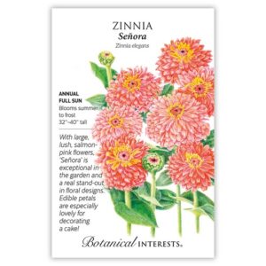 Zinnia – Senora Seeds