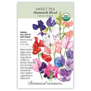 Sweet Pea – Mammoth Seeds – Organic