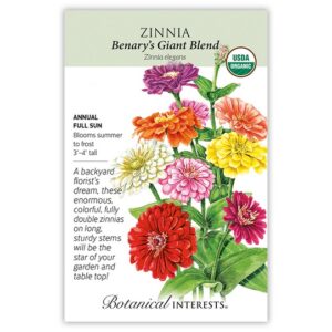 Zinnia – Benary’s Giant Blend Seeds – Large, Organic