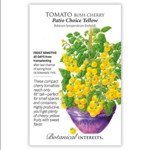 TOMATO BUSH CHERRY – PATIO CHOICE YELLOW SEEDS