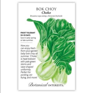 BOK CHOY – CHOKO SEEDS