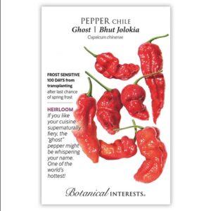 PEPPER CHILE – GHOST BHUTJOLOKIA SEEDS