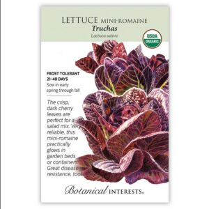 LETTUCE ROMAINE – TRUCHAS MINI SEEDS – ORGANIC