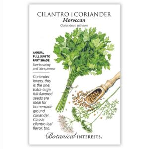 CILANTRO / CORIANDER – MOROCCAN SEEDS