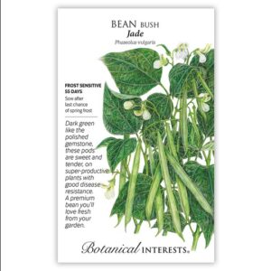 Bean Bush – Jade Seeds – Organic, Large