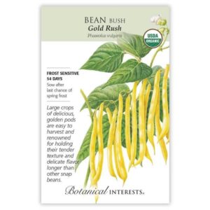 Botanical Interests - Bean Bush - Gold Rush Seeds - Organic