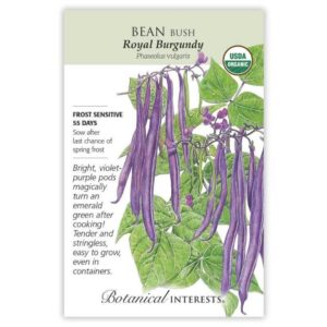 Botanical Interests - Bean Bush - Royal Burgundy Seeds - Organic