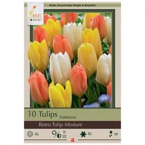 TULIP FOSTERIANA ‘RETRO TULIP MIX’ – 10 PACK