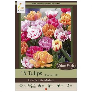 TULIP DOUBLE LATE MIX – 15 VALUE PACK