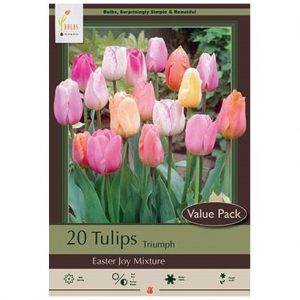 TULIP TRIUMPH ‘EASTER JOY MIX’ – 20 VALUE PACK