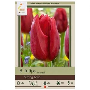 TULIP TRIUMPH ‘STRONG LOVE’ – 8 PACK