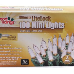 100 Light String Light – Clear