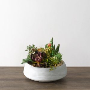 Succulent Garden